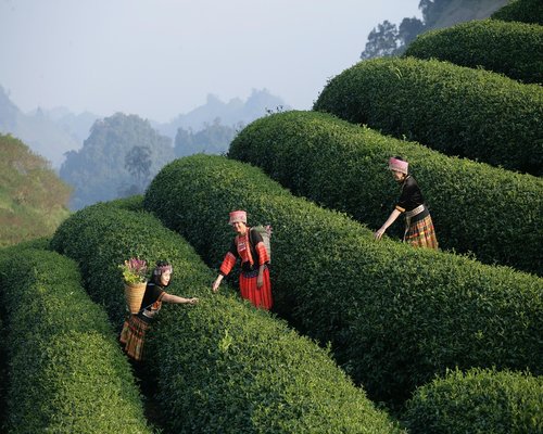 positive testimonial experience