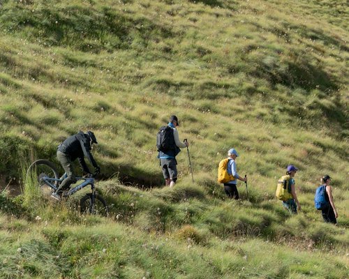 wellness journey testimonial